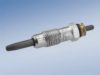 BOSCH 0 250 202 001 Glow Plug